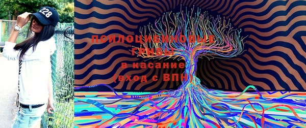 молекула духа Армянск